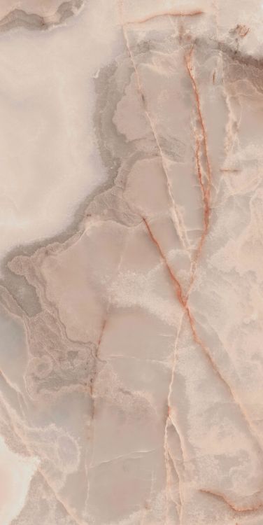 Reves Rose Matte 24 x 48